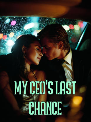 My CEO's Last Chance